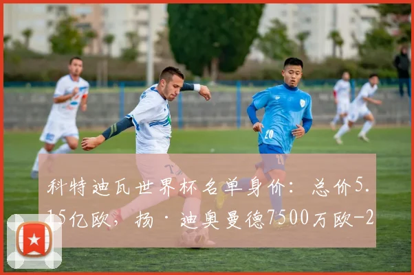 科特迪瓦世界杯名单身价：总价5.15亿欧，扬·迪奥曼德7500万欧