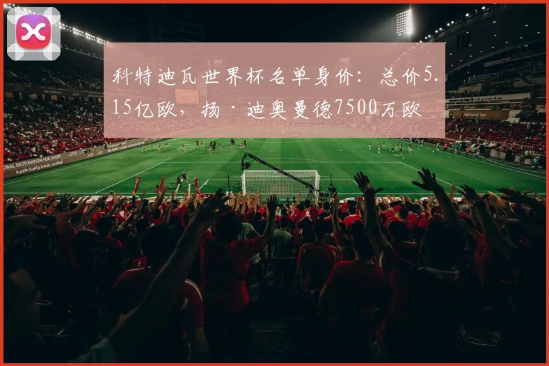科特迪瓦世界杯名单身价：总价5.15亿欧，扬·迪奥曼德7500万欧